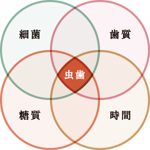 虫歯,原宿こども歯科